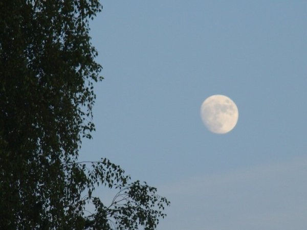 Бледное пятно Луны