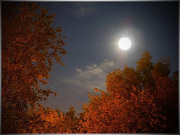 Осень вечер Луна
