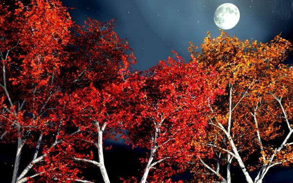 Осенняя Луна