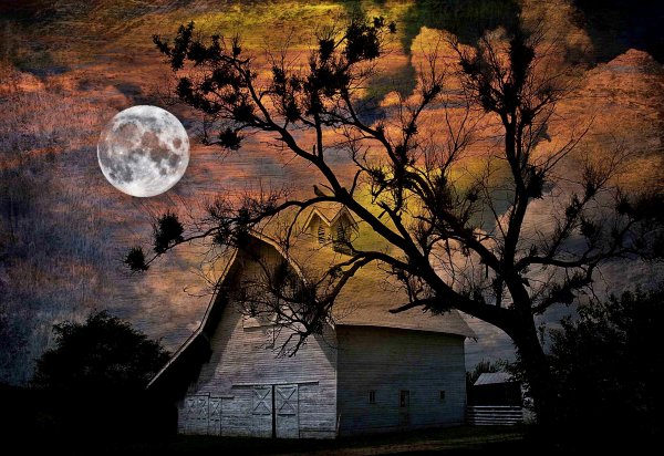 Осенняя ночь Луна