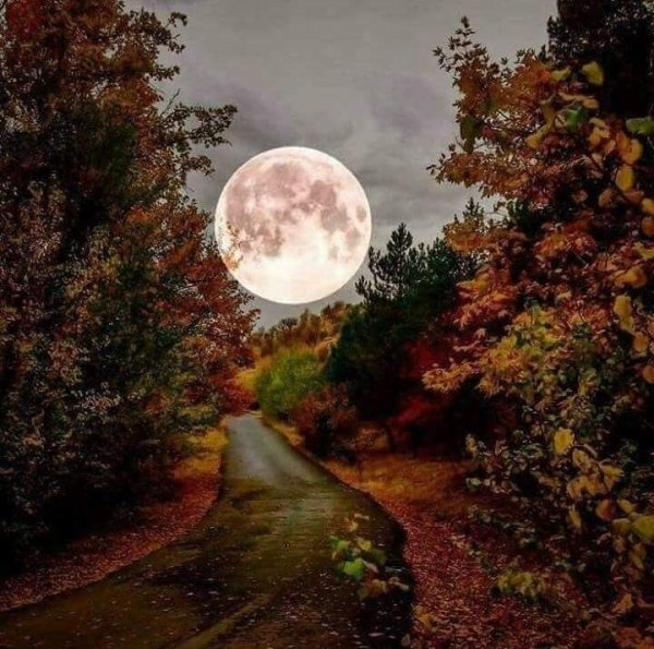 Осенний вечер Луна