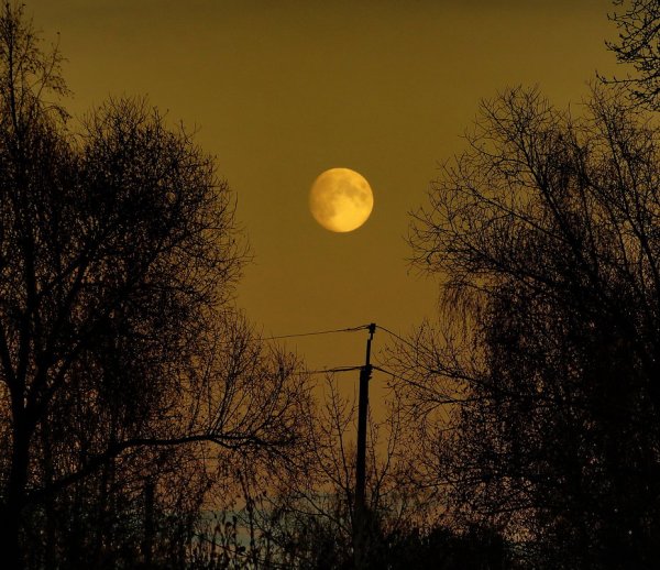 Луна осенью
