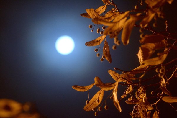 Осенняя ночь