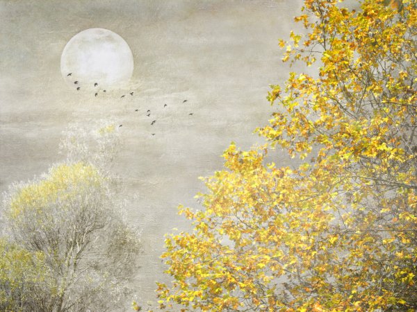 Осень Луна живопись