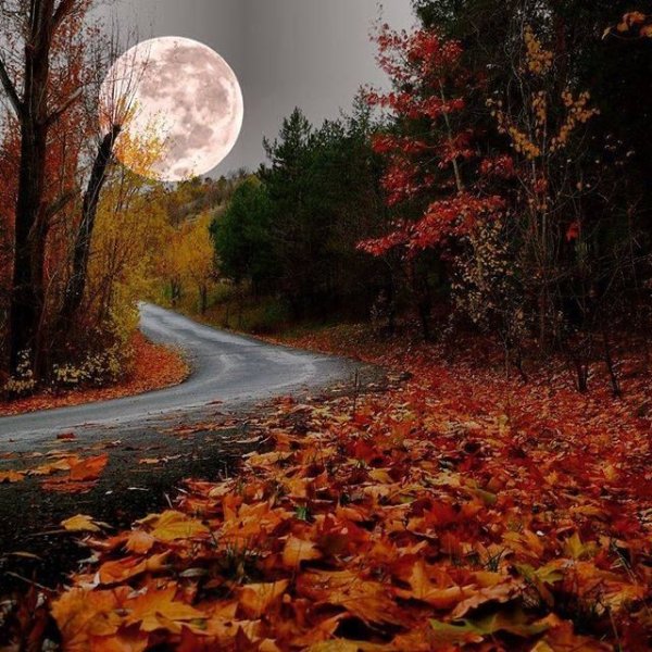 Осень вечер Луна