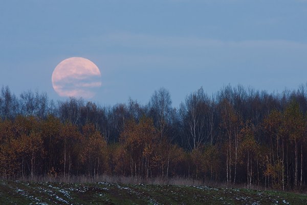 Осенняя Луна