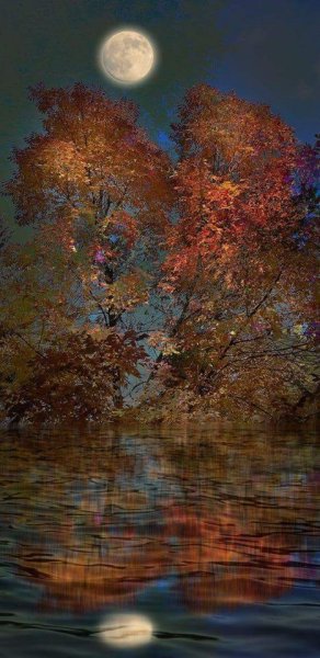 Лунная ночь осенью