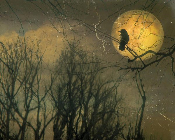 Луна полнолуние осень