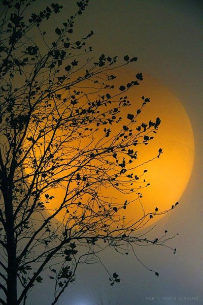 Полнолуние осень