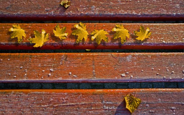 Осень горизонтально