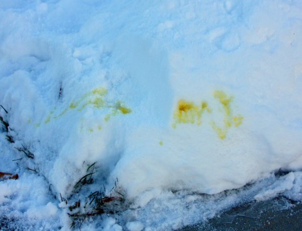 Желтый снег
