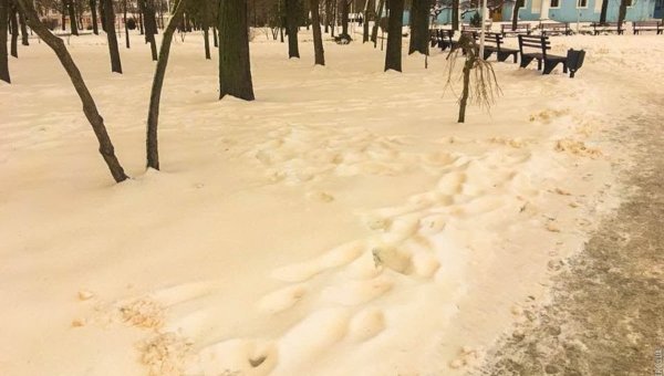 Опасный желтый снег-