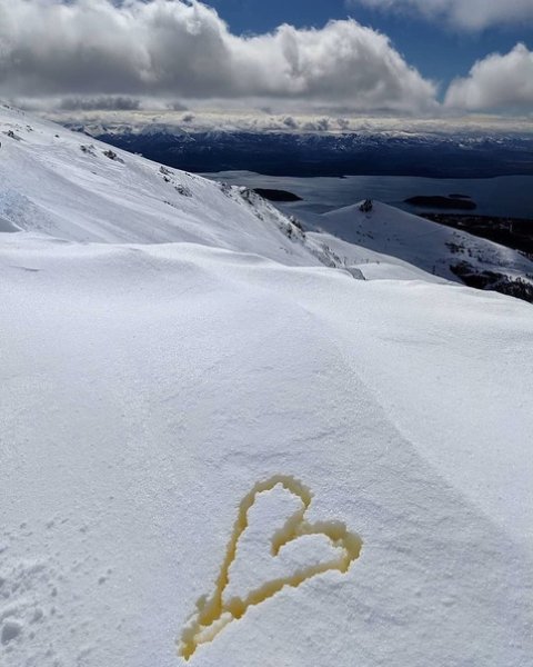 Моча на снегу