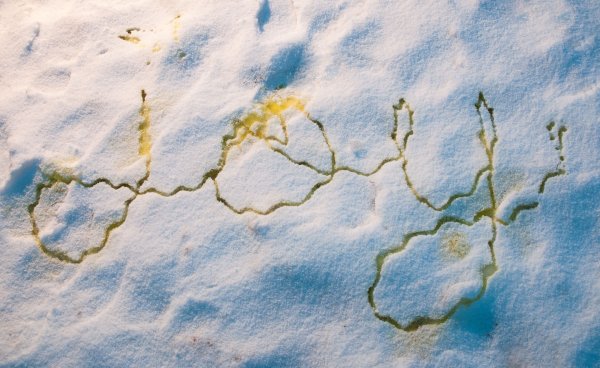 Сердце на снегу мочой