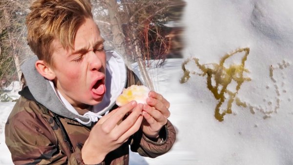 Человек ест жёлтый снег