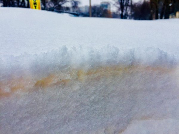 Желтый снег