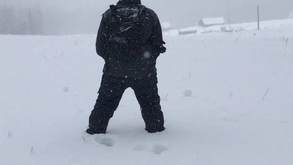 Желтый снег фото