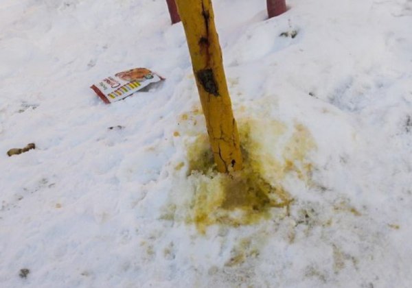 Желтый снег