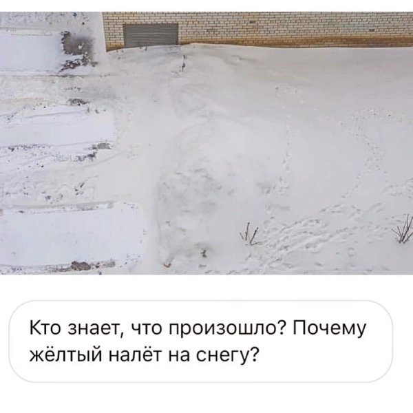 Выпал желтый снег