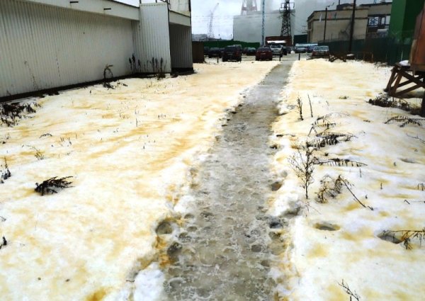 Желтый снег несъедобен