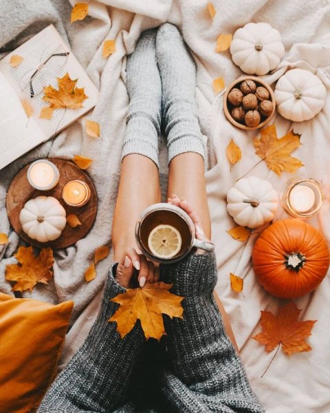 Листья в ботинках