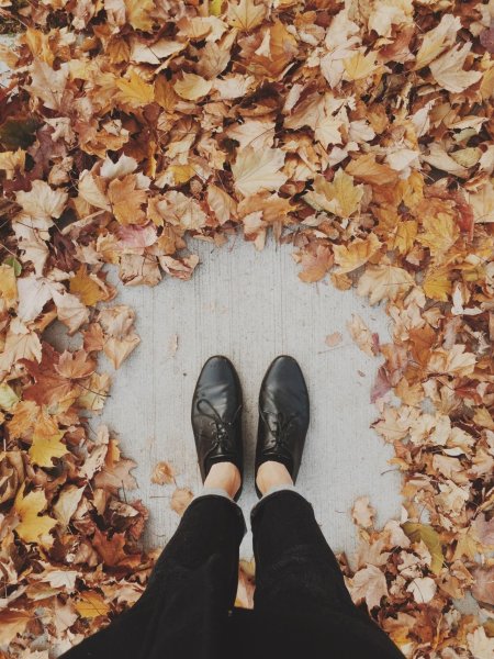 Красивая осенняя одежда для девушек