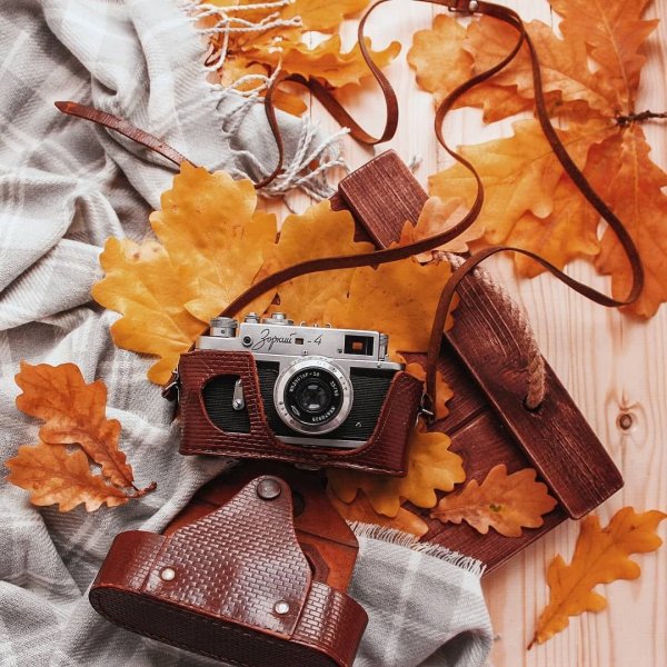 Баннер осенняя одежда