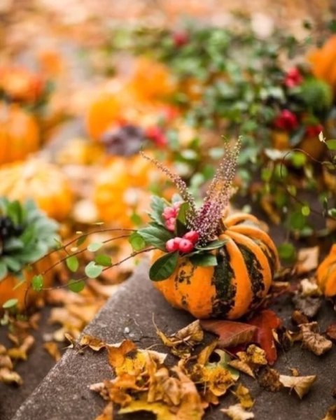 Елена Галант