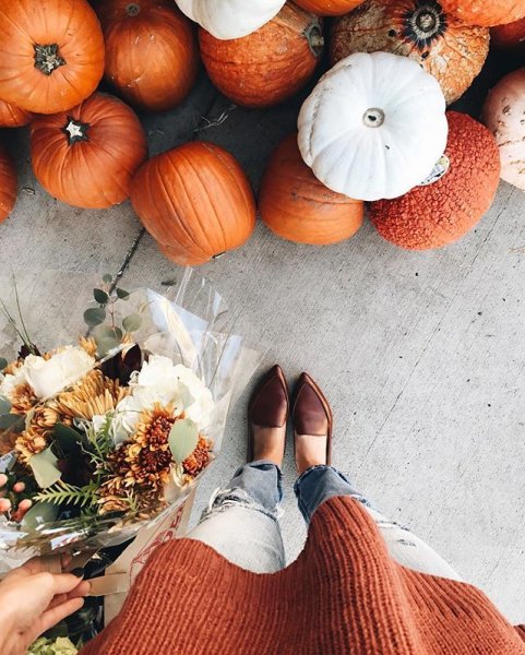 Осенняя одежда