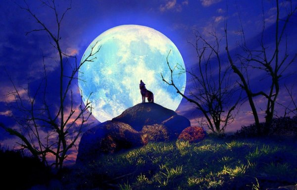 Обои на рабочий стол ночь Луна