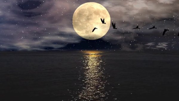 Одинокий месяц