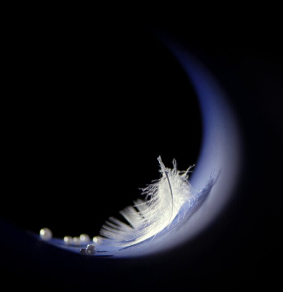 Луна с перьями