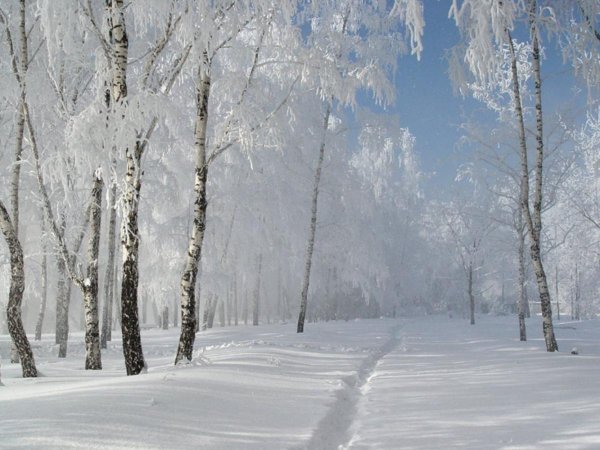 Снежная пороша