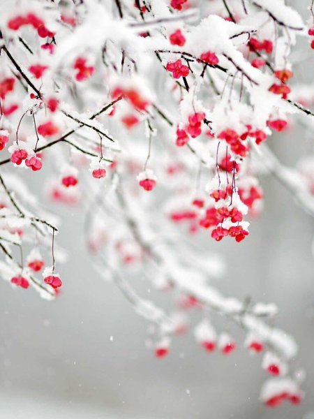 Красивый зимний фон