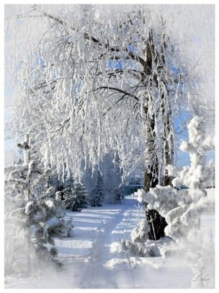 Природа снег