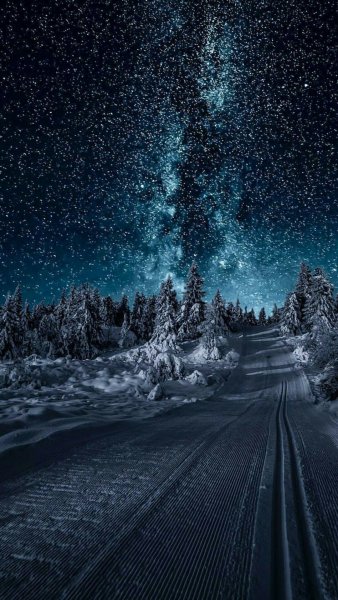 Зимний лес вертикальные