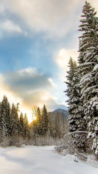 Зима пейзаж