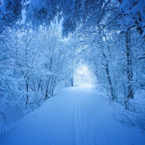 Зимний вечер пейзаж