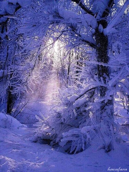 Озеро Морейн зимой