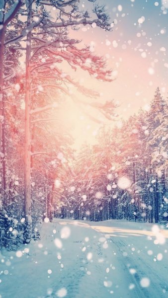 Зимний вечер