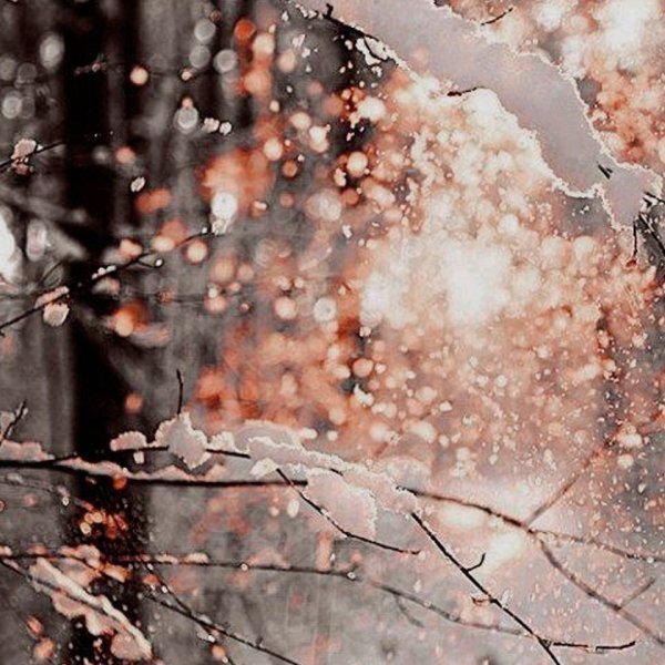 Зимний парк