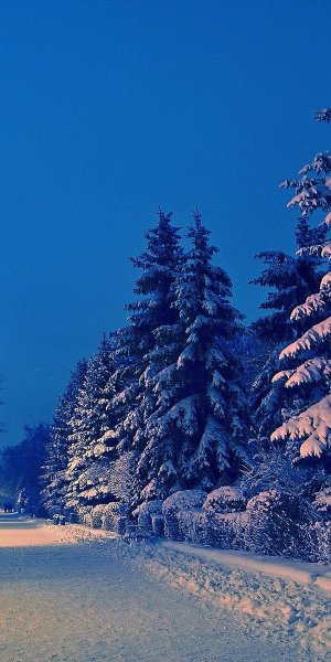 Зимняя тематика