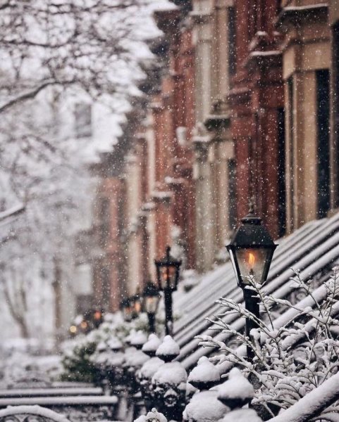 Зимнее утро