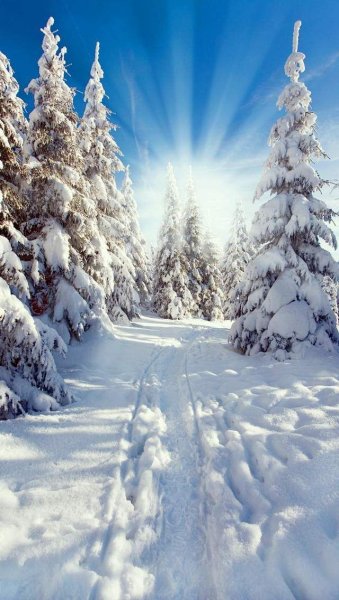 Фонарный столб зимой