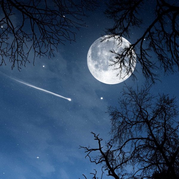Ночь Луна