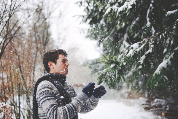 Мужчина в Снежном лесу