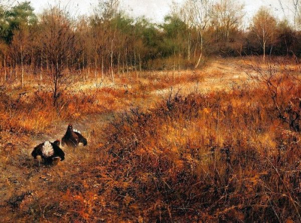 Осень охотник