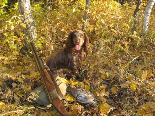 Охота в лесу