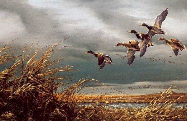 Пейзаж с утками