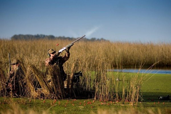 Доброе утро охотник